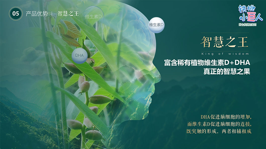 幻燈片4.JPG