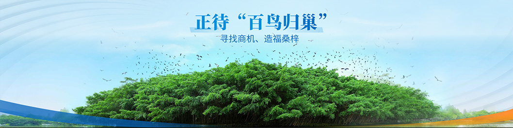 江門招商大會內(nèi)頁7.jpg